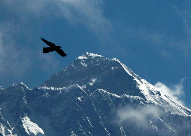British Climber Sets Record with 19th Ascent of Mount Everest