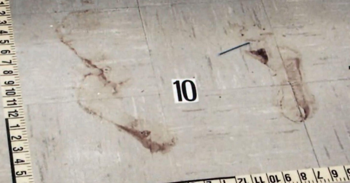Decadeslong Quest for Answers Sparked by Bloody Footprints at Minneapolis Crime Scene