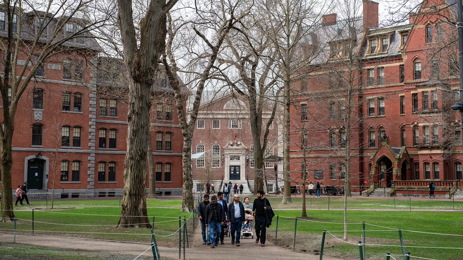 Trump Plans to Urge Federal Agencies to Terminate Harvard Contracts: Insider